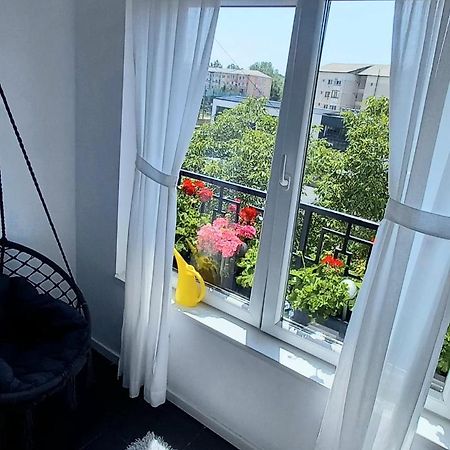 33 Coquette Apartment Baia Mare Bagian luar foto