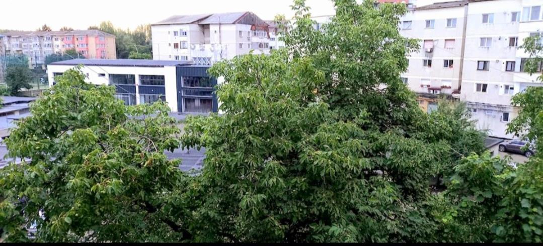 33 Coquette Apartment Baia Mare Bagian luar foto