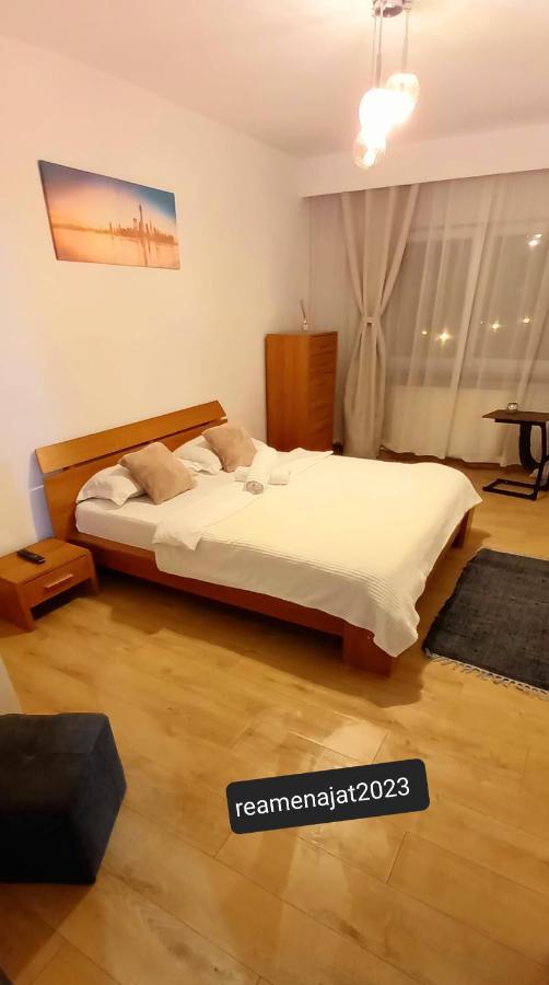 33 Coquette Apartment Baia Mare Bagian luar foto