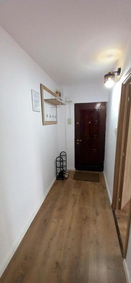 33 Coquette Apartment Baia Mare Bagian luar foto