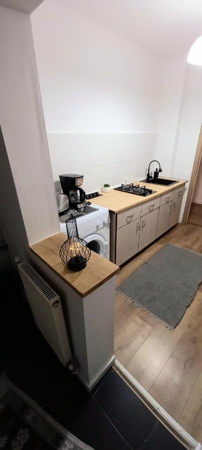 33 Coquette Apartment Baia Mare Bagian luar foto