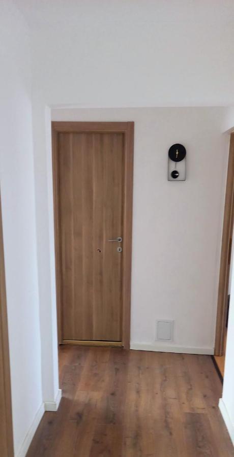 33 Coquette Apartment Baia Mare Bagian luar foto