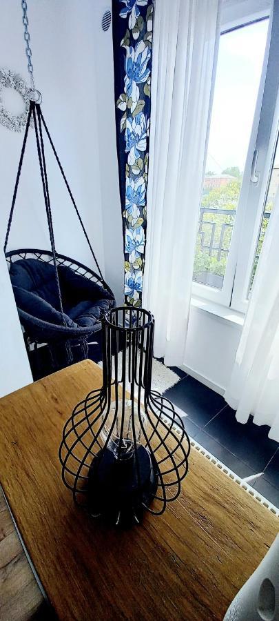 33 Coquette Apartment Baia Mare Bagian luar foto