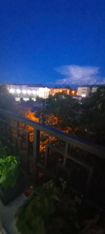 33 Coquette Apartment Baia Mare Bagian luar foto