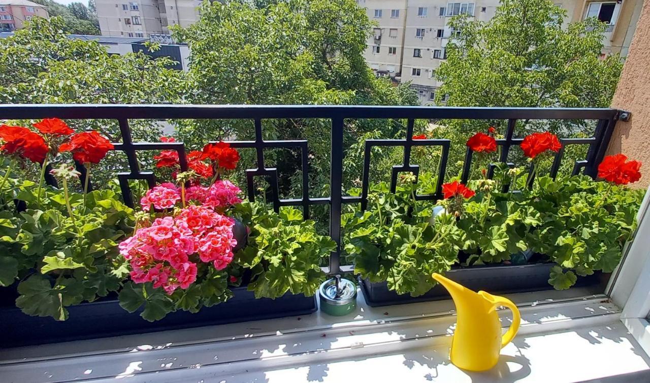 33 Coquette Apartment Baia Mare Bagian luar foto