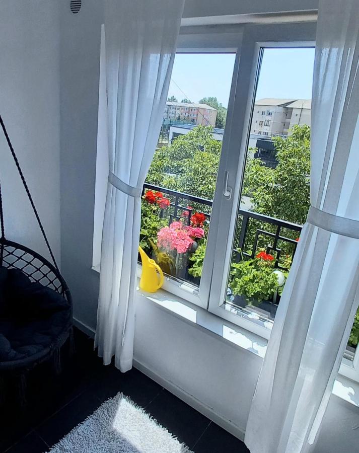 33 Coquette Apartment Baia Mare Bagian luar foto