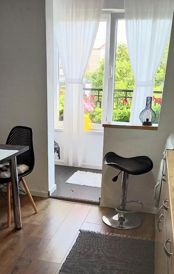 33 Coquette Apartment Baia Mare Bagian luar foto