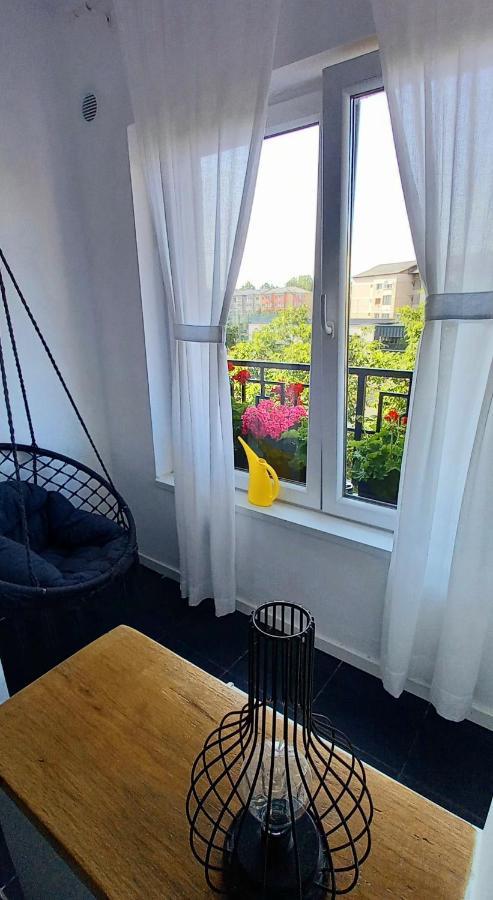 33 Coquette Apartment Baia Mare Bagian luar foto