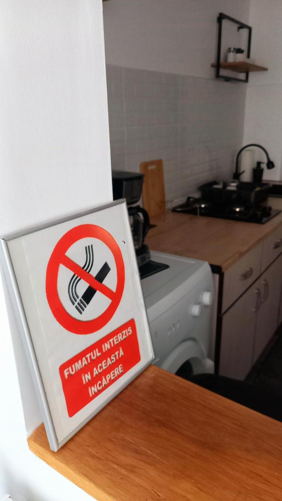 33 Coquette Apartment Baia Mare Bagian luar foto