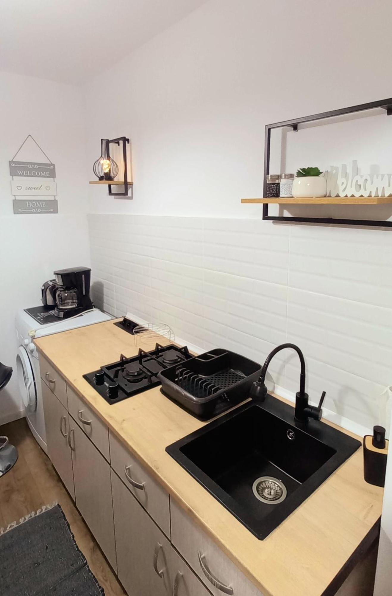 33 Coquette Apartment Baia Mare Bagian luar foto