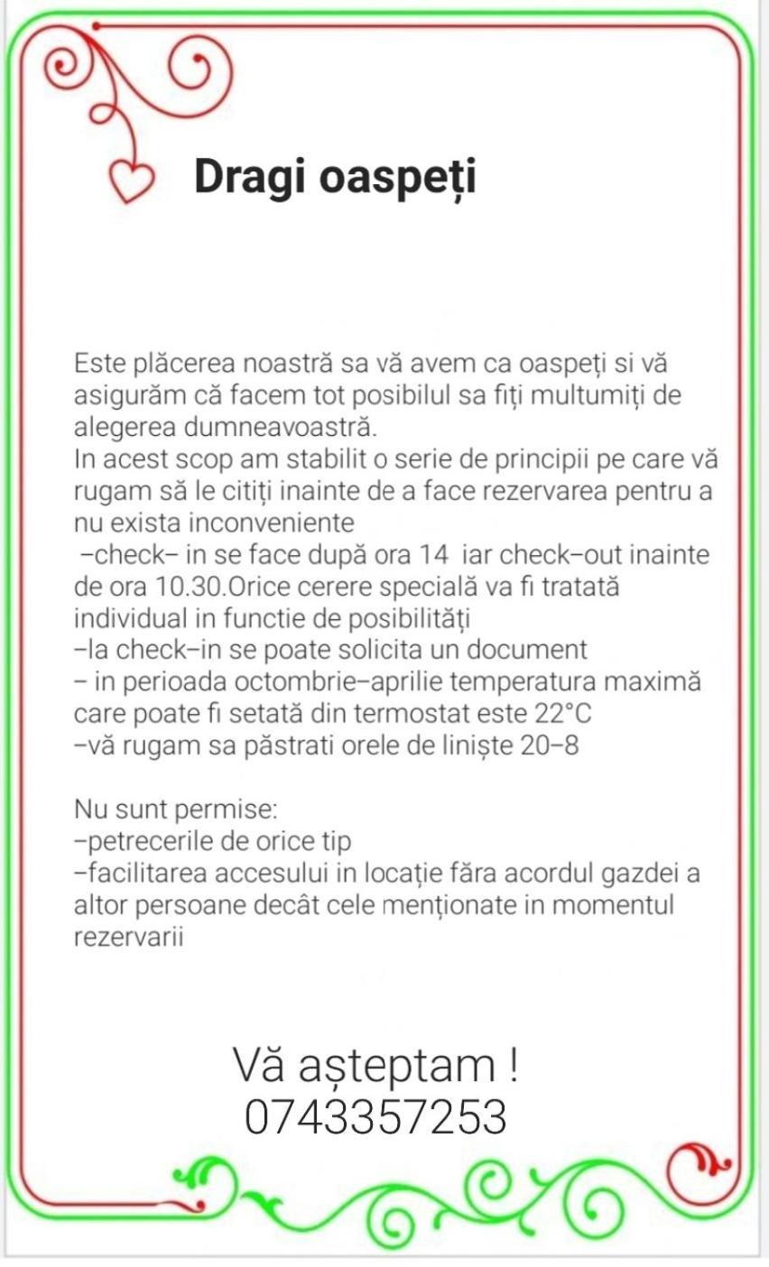 33 Coquette Apartment Baia Mare Bagian luar foto